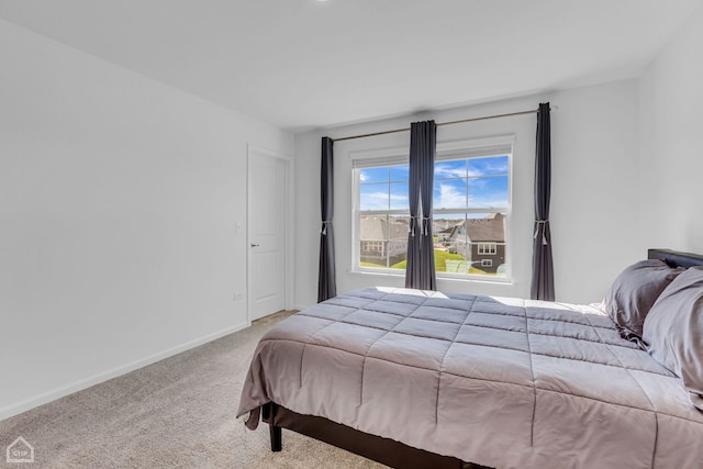 bedroom with carpet