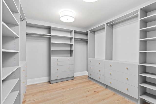 spacious closet featuring light hardwood / wood-style floors