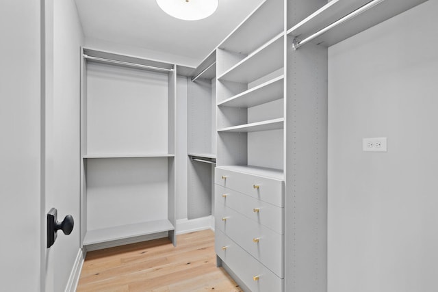 walk in closet with light hardwood / wood-style flooring