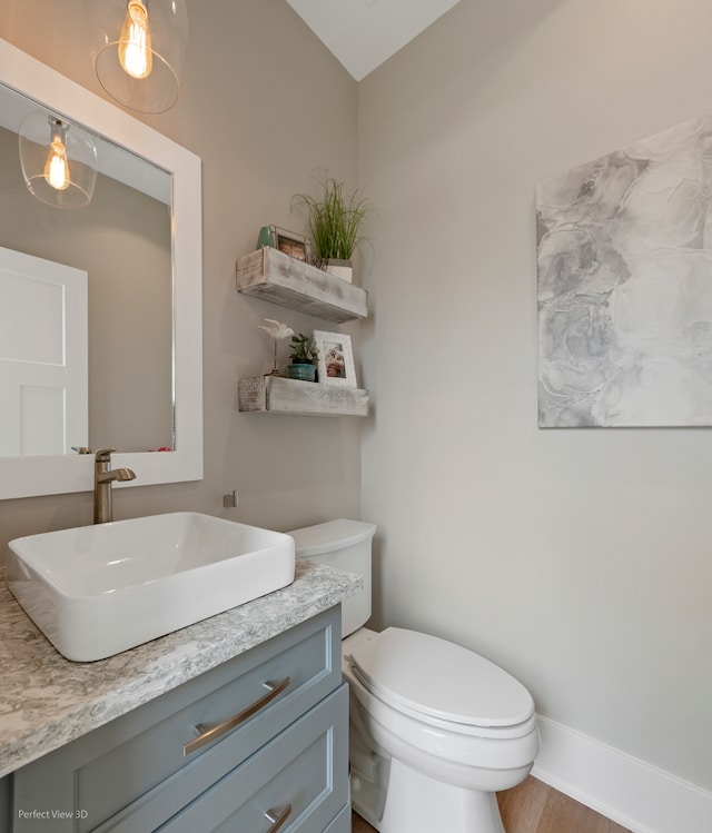 bathroom featuring vanity, toilet, and wood-type flooring