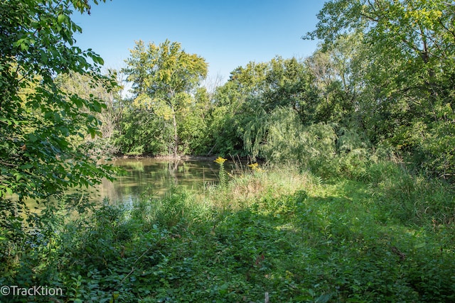 view of local wilderness featuring a water view