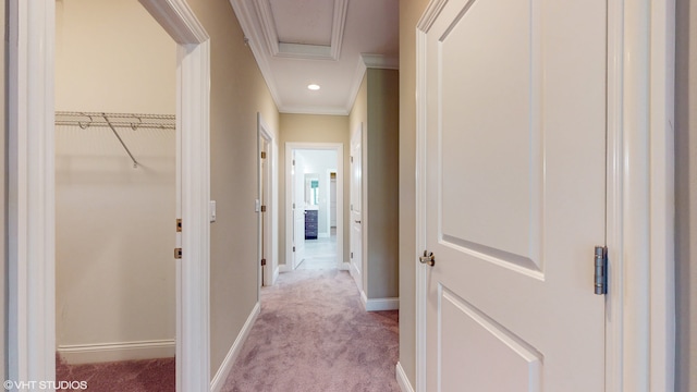 hall featuring light colored carpet and crown molding