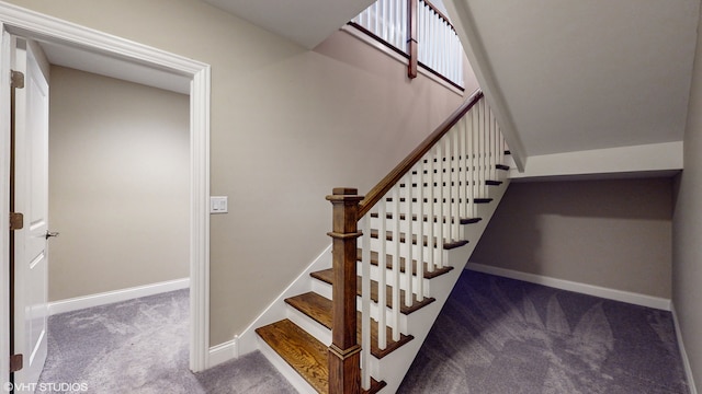 stairs with carpet floors