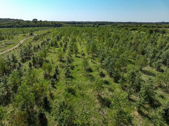 0000 Mayflower Rd, Clay City, IL 62824 - photo 20
