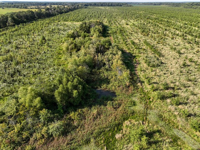 0000 Mayflower Rd, Clay City, IL 62824 - photo 24