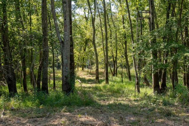 0000 Mayflower Rd, Clay City, IL 62824 - photo 38
