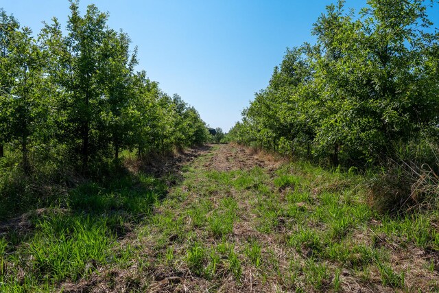 0000 Mayflower Rd, Clay City, IL 62824 - photo 41