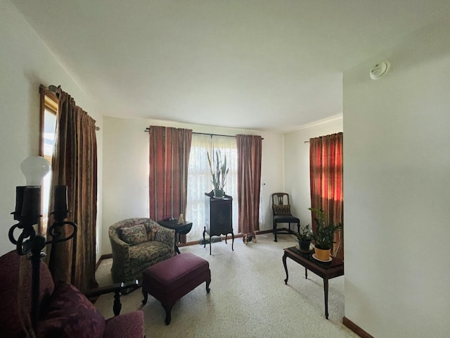 living area featuring baseboards and carpet flooring