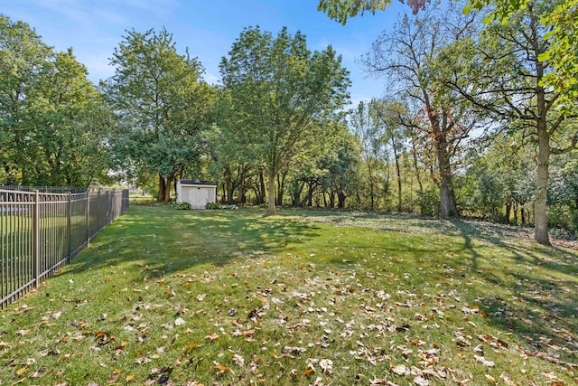 view of yard with a shed