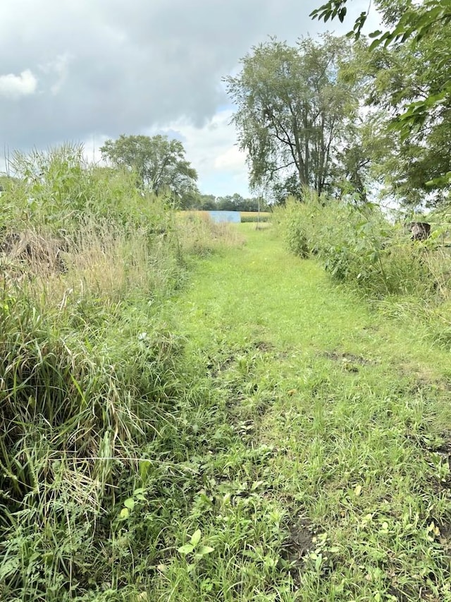 view of local wilderness with a water view