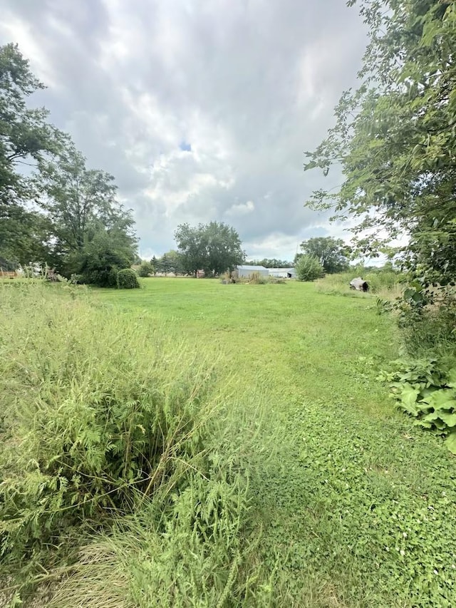 view of yard featuring a rural view