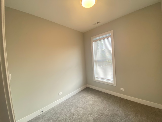 spare room with carpet floors