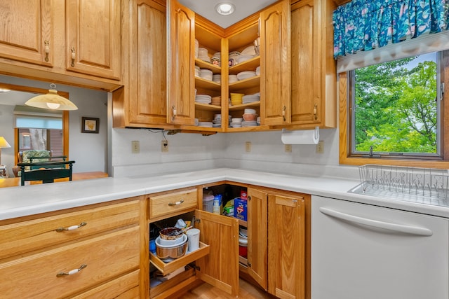 kitchen featuring white dishwasher and wood-type flooring