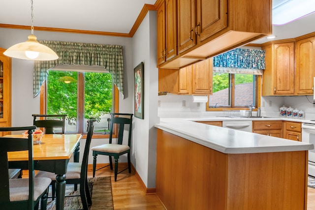 kitchen featuring ornamental molding, white appliances, sink, hanging light fixtures, and light hardwood / wood-style floors