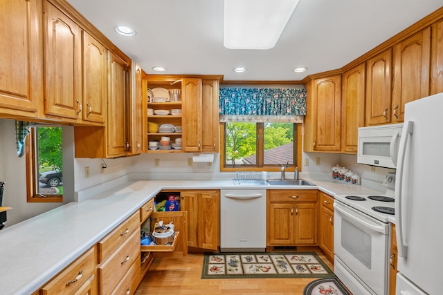 kitchen with white appliances, light hardwood / wood-style flooring, and sink