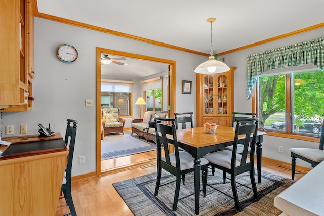 dining area featuring ceiling fan, crown molding, and light hardwood / wood-style flooring