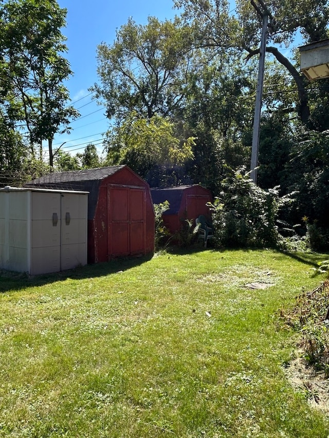 view of yard featuring a shed