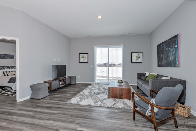 living room featuring wood-type flooring