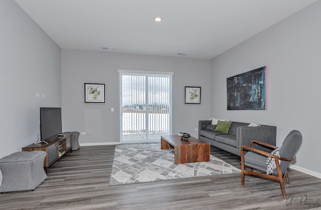 living room featuring wood-type flooring