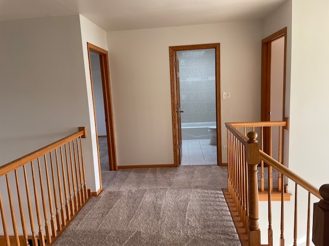 hallway with carpet flooring