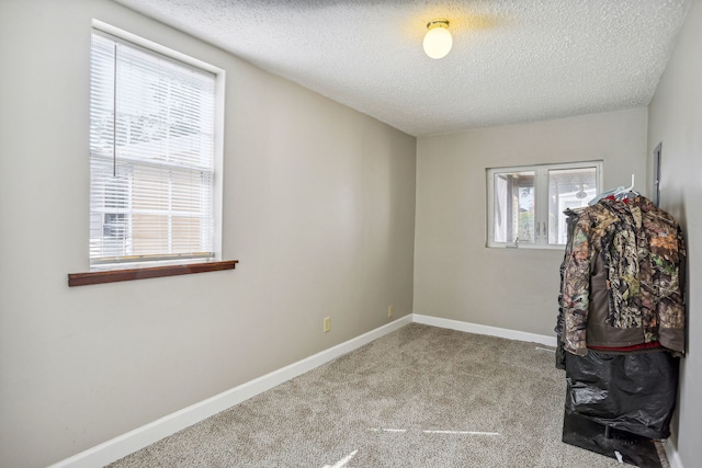 interior space featuring light carpet, a wealth of natural light, and a textured ceiling