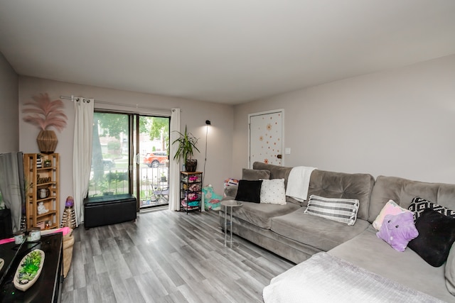 living room featuring hardwood / wood-style floors