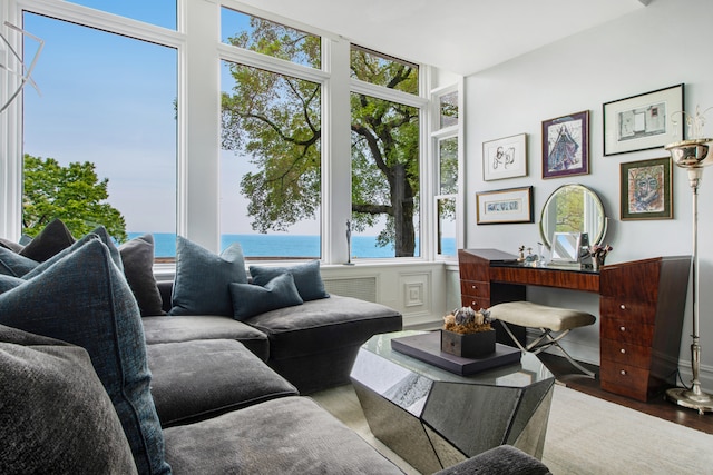 living room featuring wood-type flooring, a water view, and a wealth of natural light