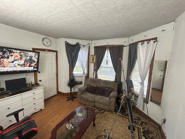 living room with light hardwood / wood-style floors