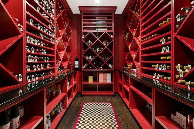 wine room featuring dark wood finished floors