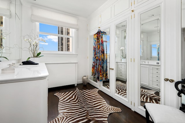 interior space with dark wood-type flooring, crown molding, and a sink