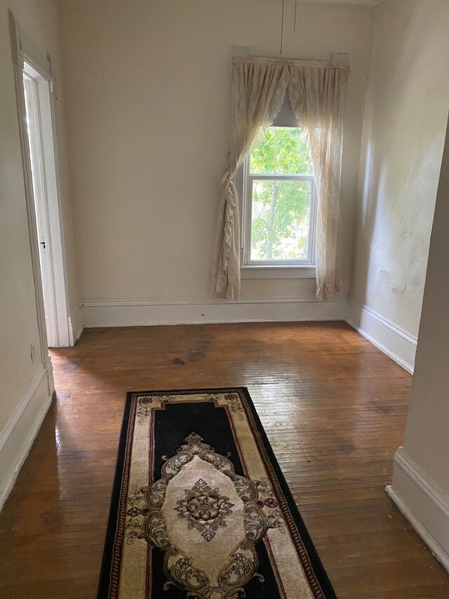 empty room featuring wood-type flooring