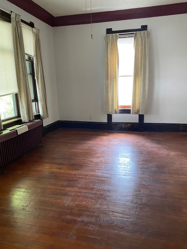 spare room featuring radiator, dark hardwood / wood-style flooring, and a wealth of natural light