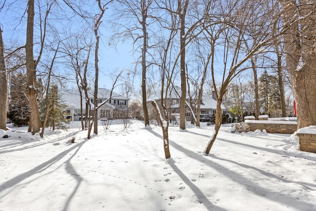 view of yard covered in snow