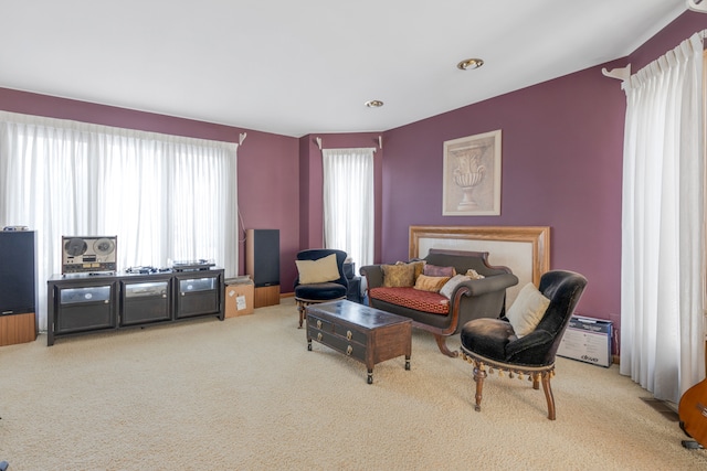 living room with carpet floors