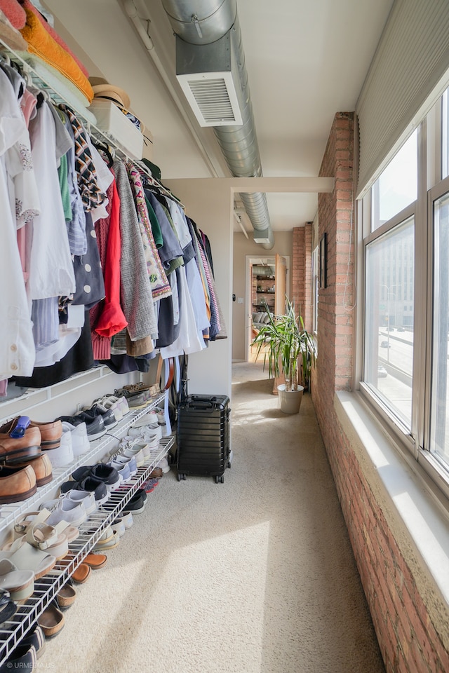 walk in closet with carpet