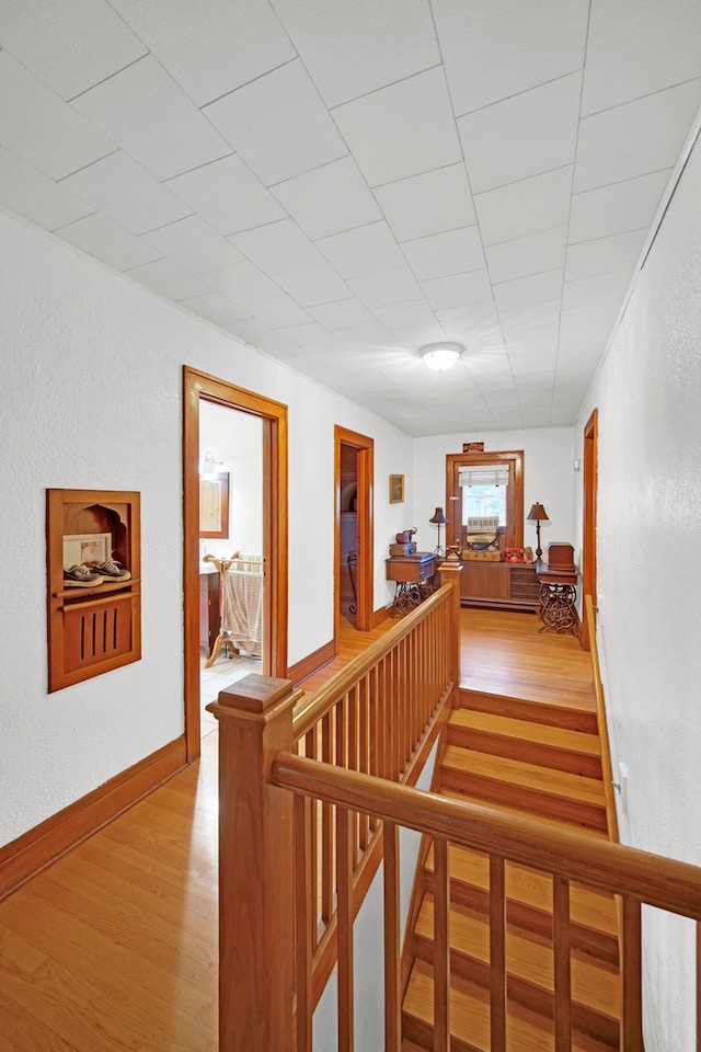 corridor featuring light hardwood / wood-style flooring