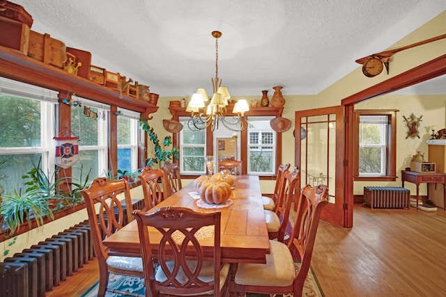 dining area with light wood-type flooring, a wealth of natural light, and a textured ceiling