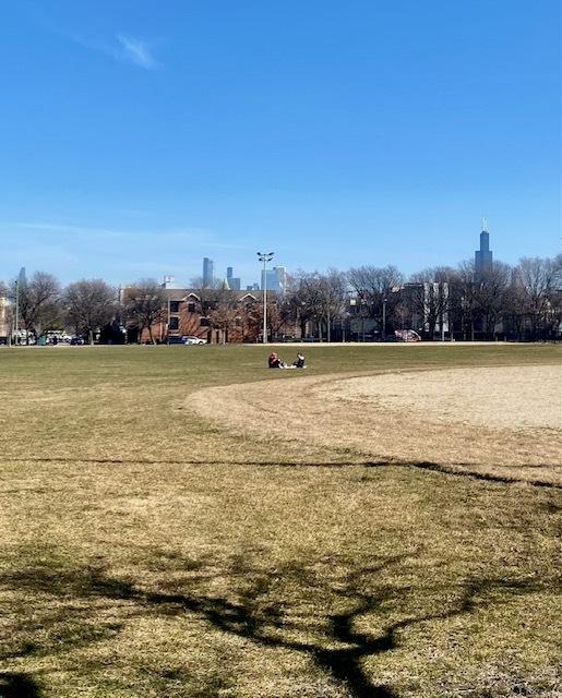 2675 W Grand Ave Unit 302, Chicago, IL 60612 - view of property's community