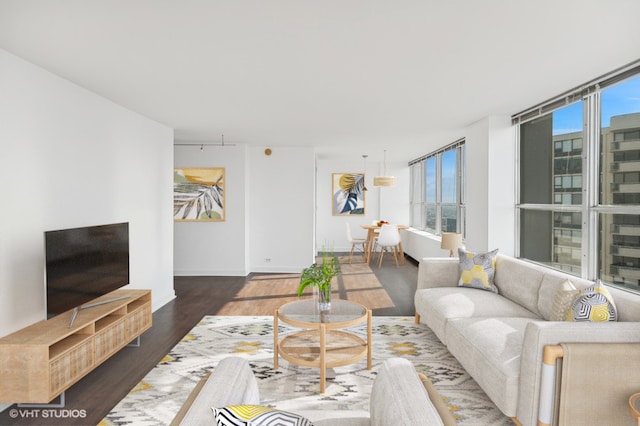 living room featuring dark hardwood / wood-style flooring