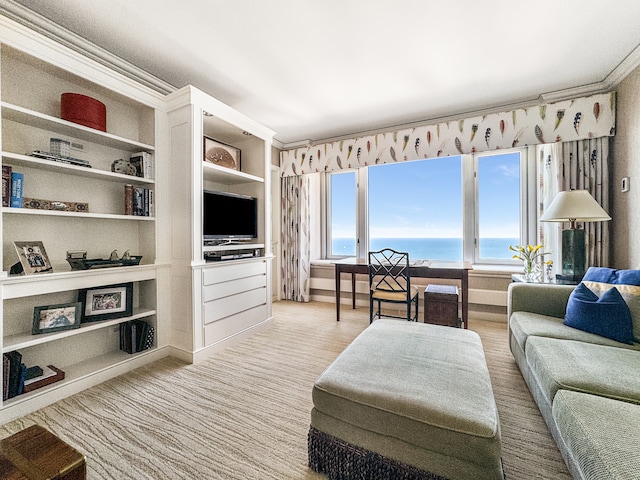 living room with ornamental molding