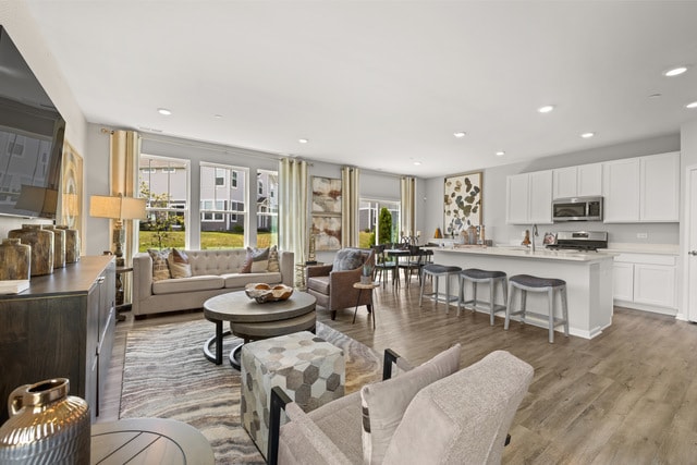 living room with plenty of natural light and light hardwood / wood-style flooring