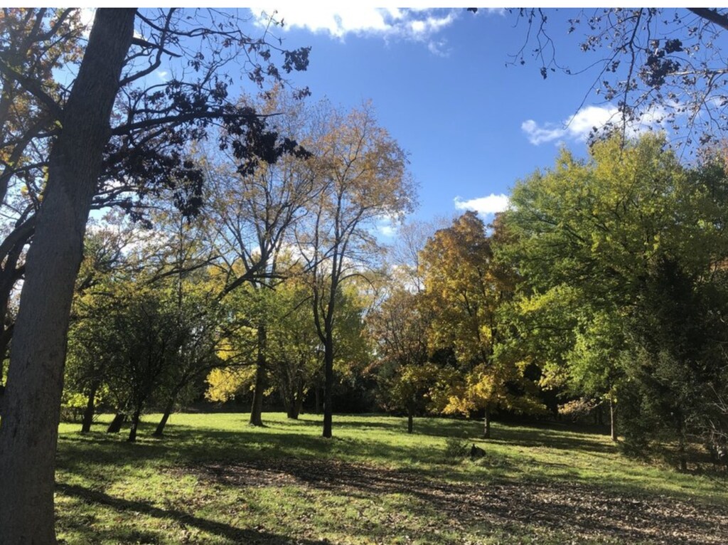 11365 Haegers Bend Rd, Barrington Hills, IL 60010