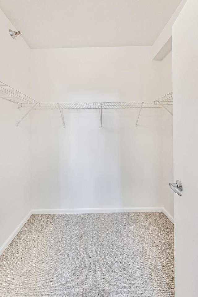 spacious closet with carpet