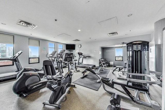 exercise room featuring plenty of natural light