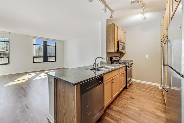 kitchen with light hardwood / wood-style flooring, stainless steel appliances, sink, and track lighting