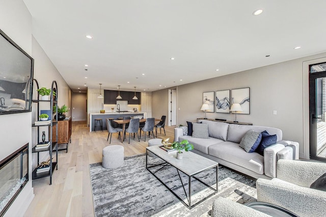 living room featuring light hardwood / wood-style flooring