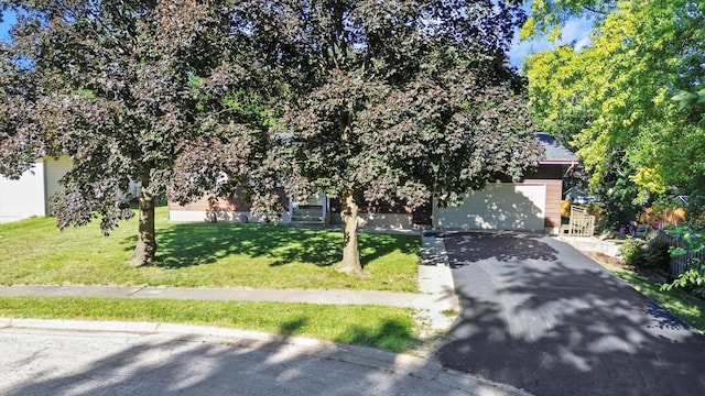 obstructed view of property with a front yard and a garage