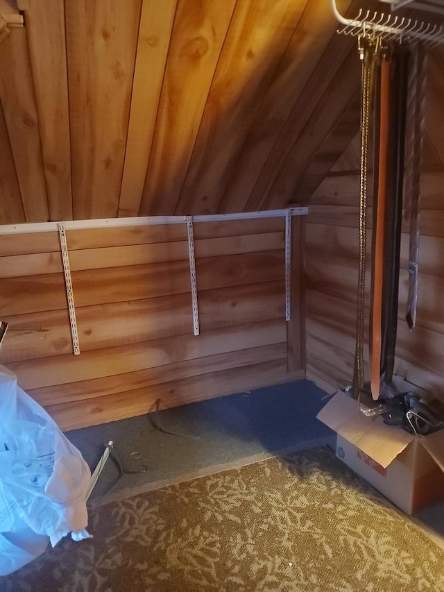 view of sauna / steam room featuring carpet floors