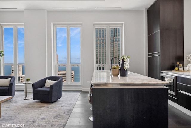 11 E Walton St Unit 5801, Chicago, IL 60611 - photo 16