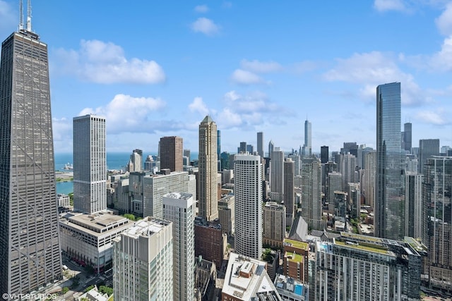11 E Walton St Unit 5801, Chicago, IL 60611 - photo 39